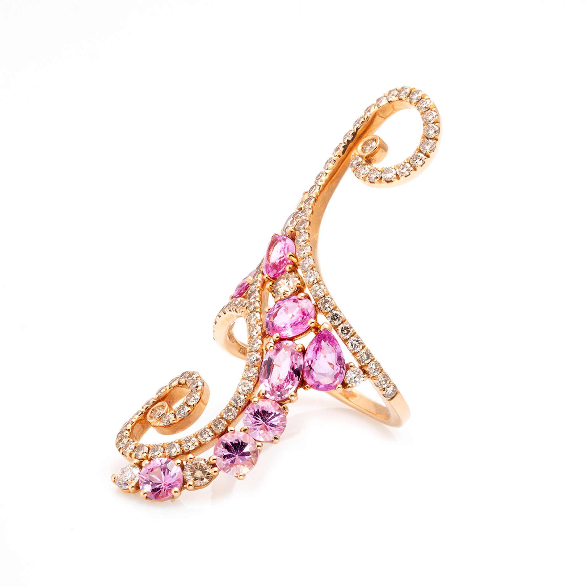 Studio Food en culinaire foto, Fotostudio Karel Bingen, fotograaf