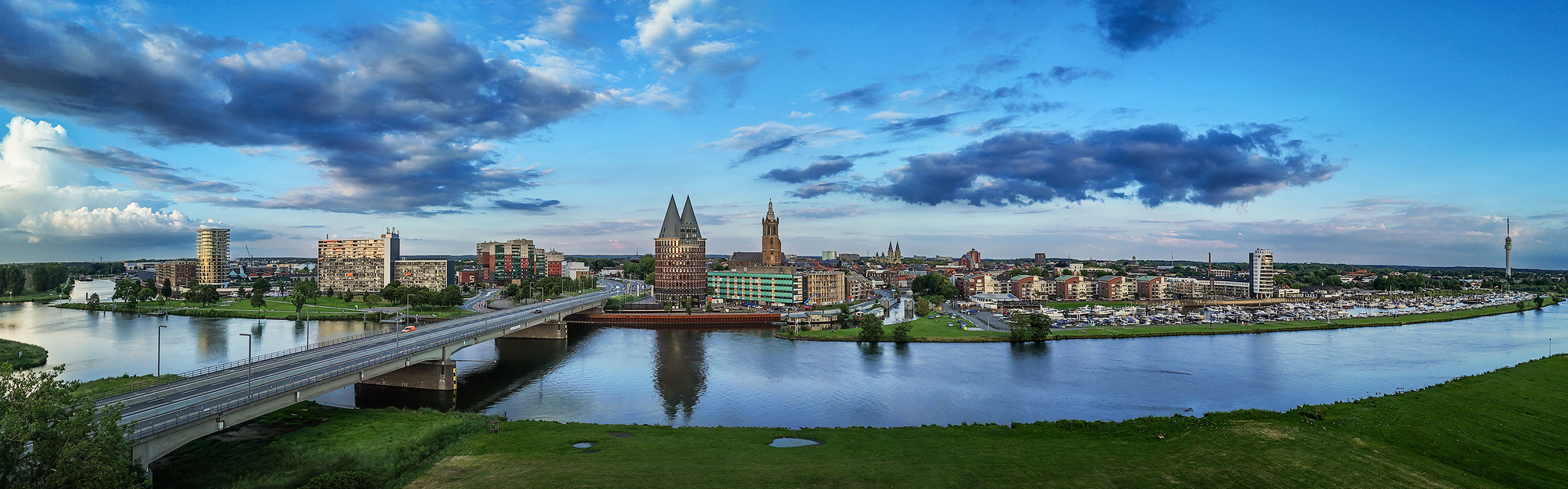 Plant in vulkaan landschap, fotostudio karel bingen.