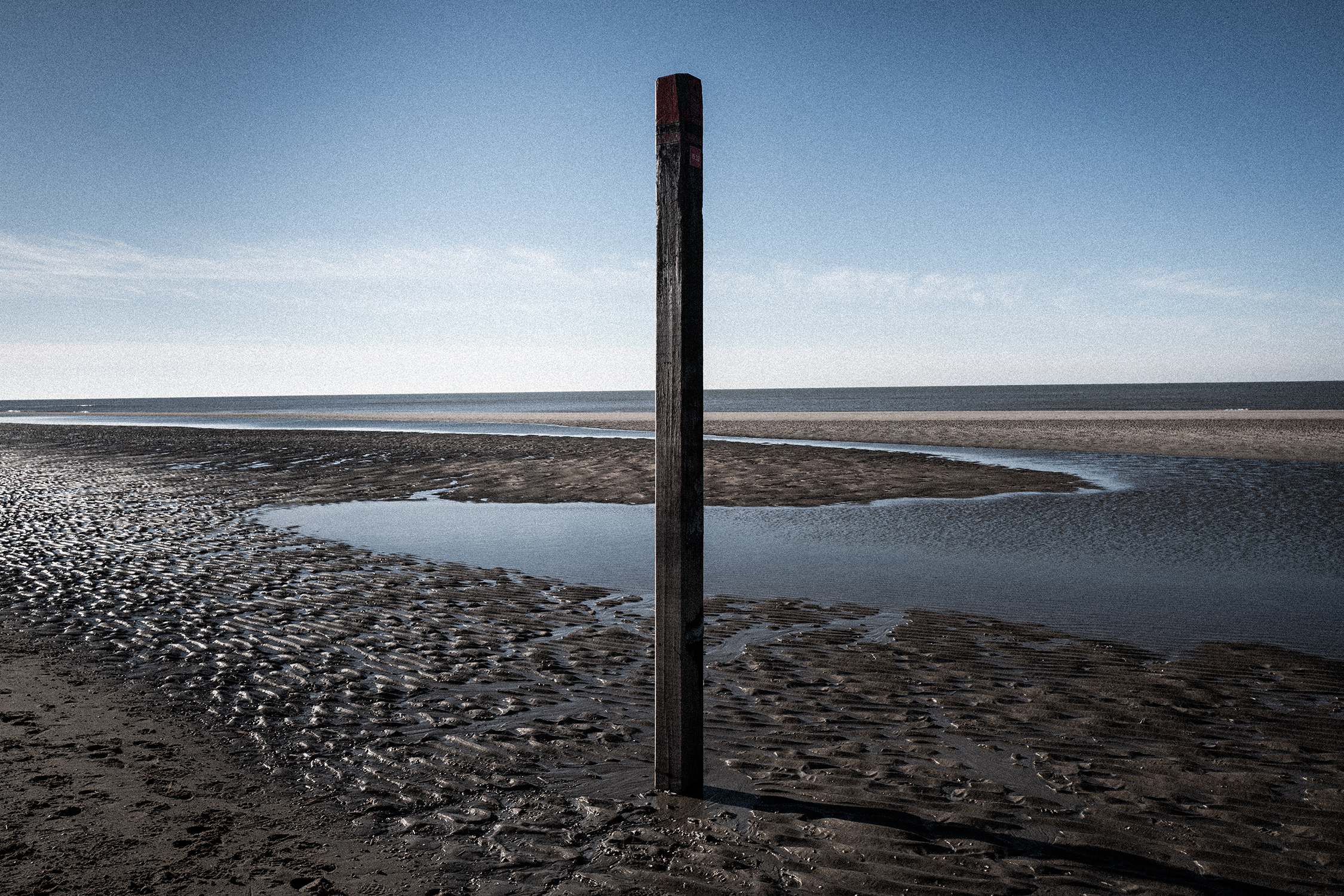 Plant in vulkaan landschap, fotostudio karel bingen.