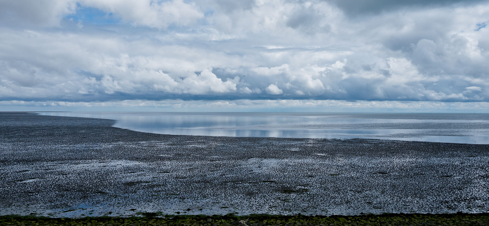 Plant in vulkaan landschap, fotostudio karel bingen.